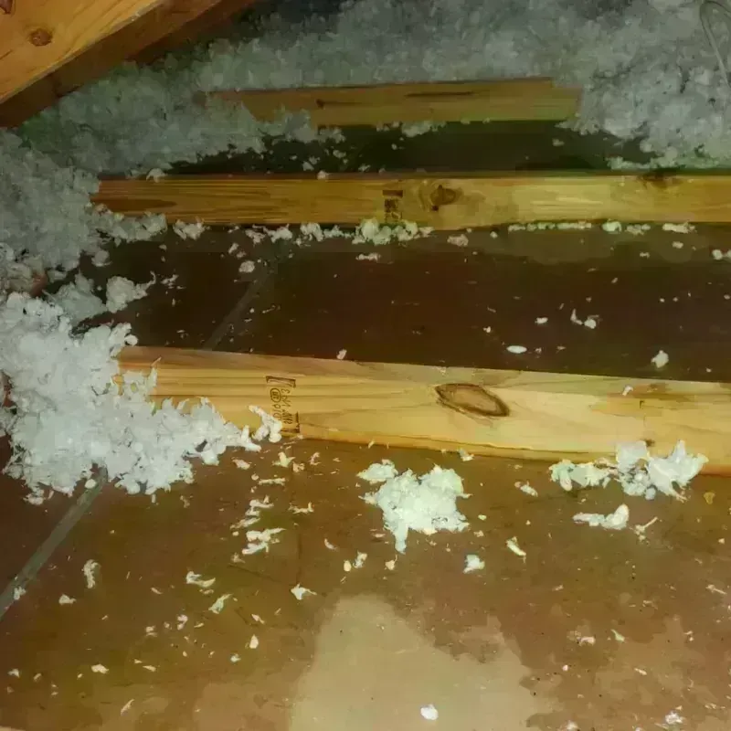 Attic Water Damage in Rhodhiss, NC